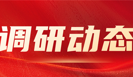 集团公司纪委委员、总管帐师袁媛赴w66利来公司发展资产治理专项调研